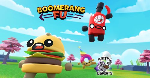 Tournoi Boomerang Fu