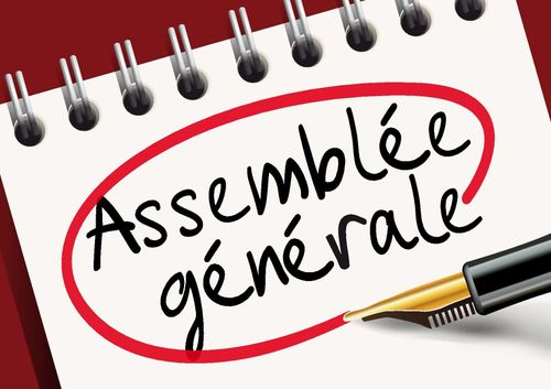 Assemblée Générale Annuelle 2025 Refuge Jeunesse Malartic Inc. 