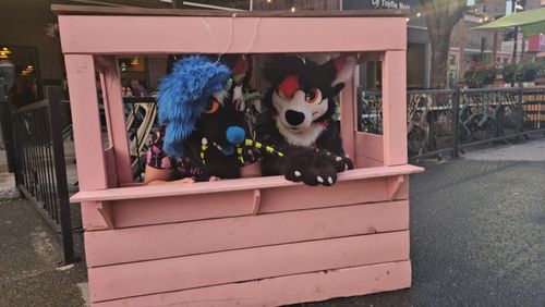 Soirée Nocturne Furry